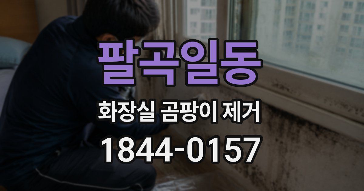 팔곡일동 화장실 곰팡이 제거