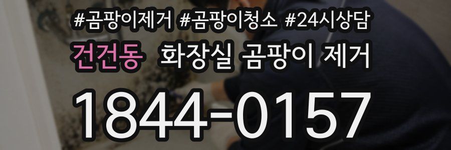 건건동 화장실 곰팡이 제거