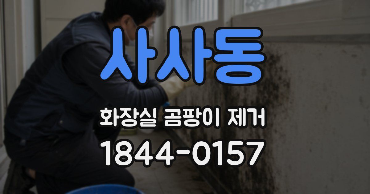 사사동 화장실 곰팡이 제거