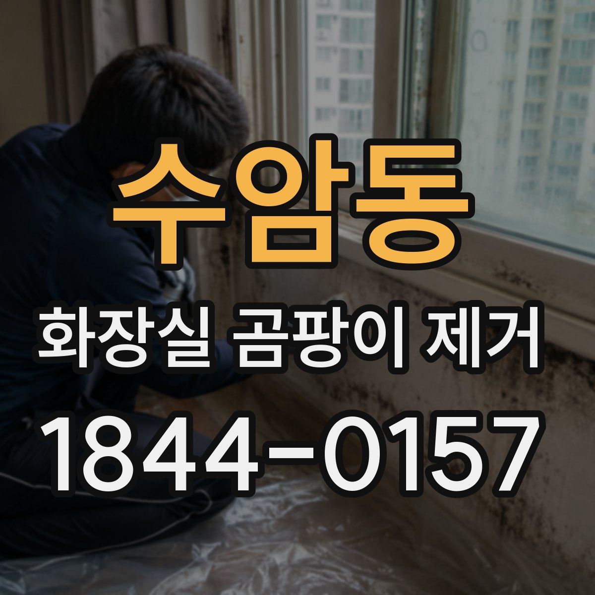 수암동 화장실 곰팡이 제거