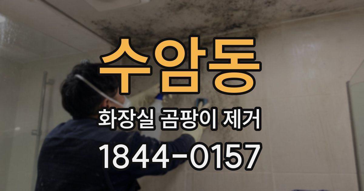수암동 화장실 곰팡이 제거