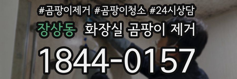 장상동 화장실 곰팡이 제거