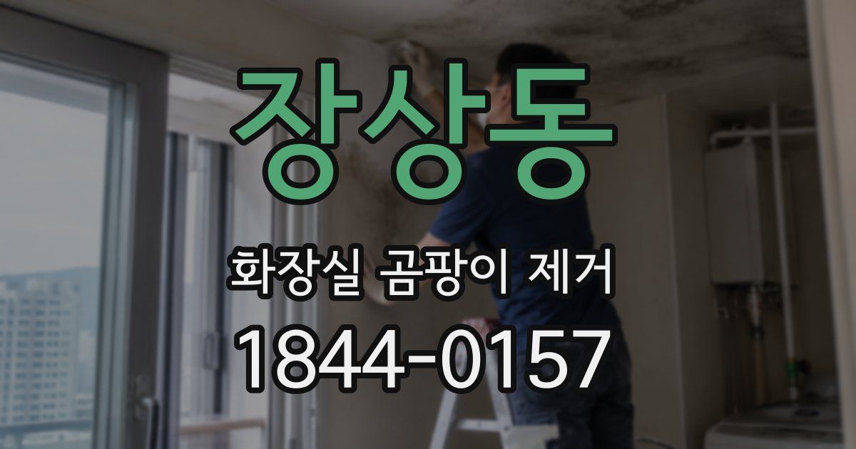 장상동 화장실 곰팡이 제거