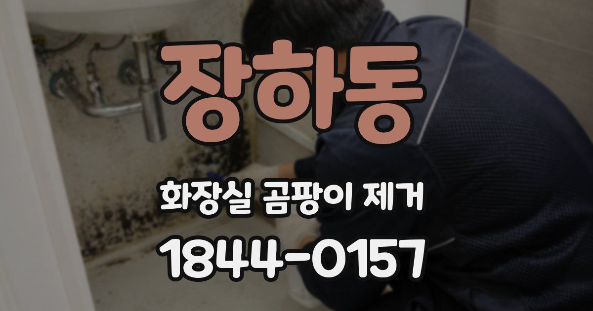 장하동 화장실 곰팡이 제거