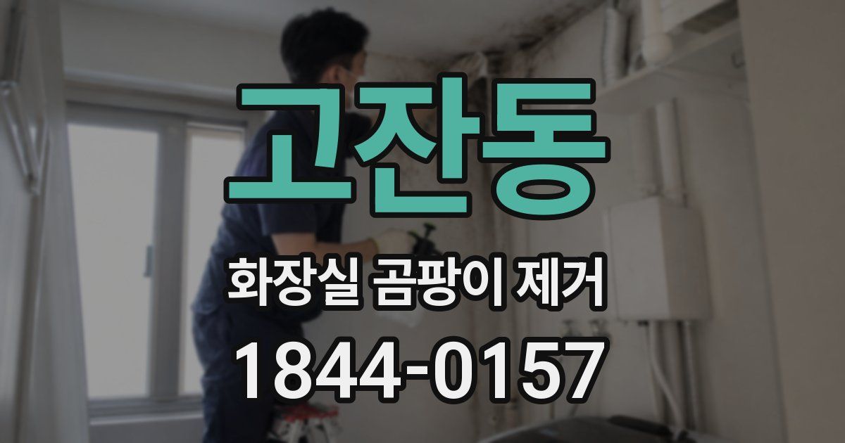 고잔동 화장실 곰팡이 제거