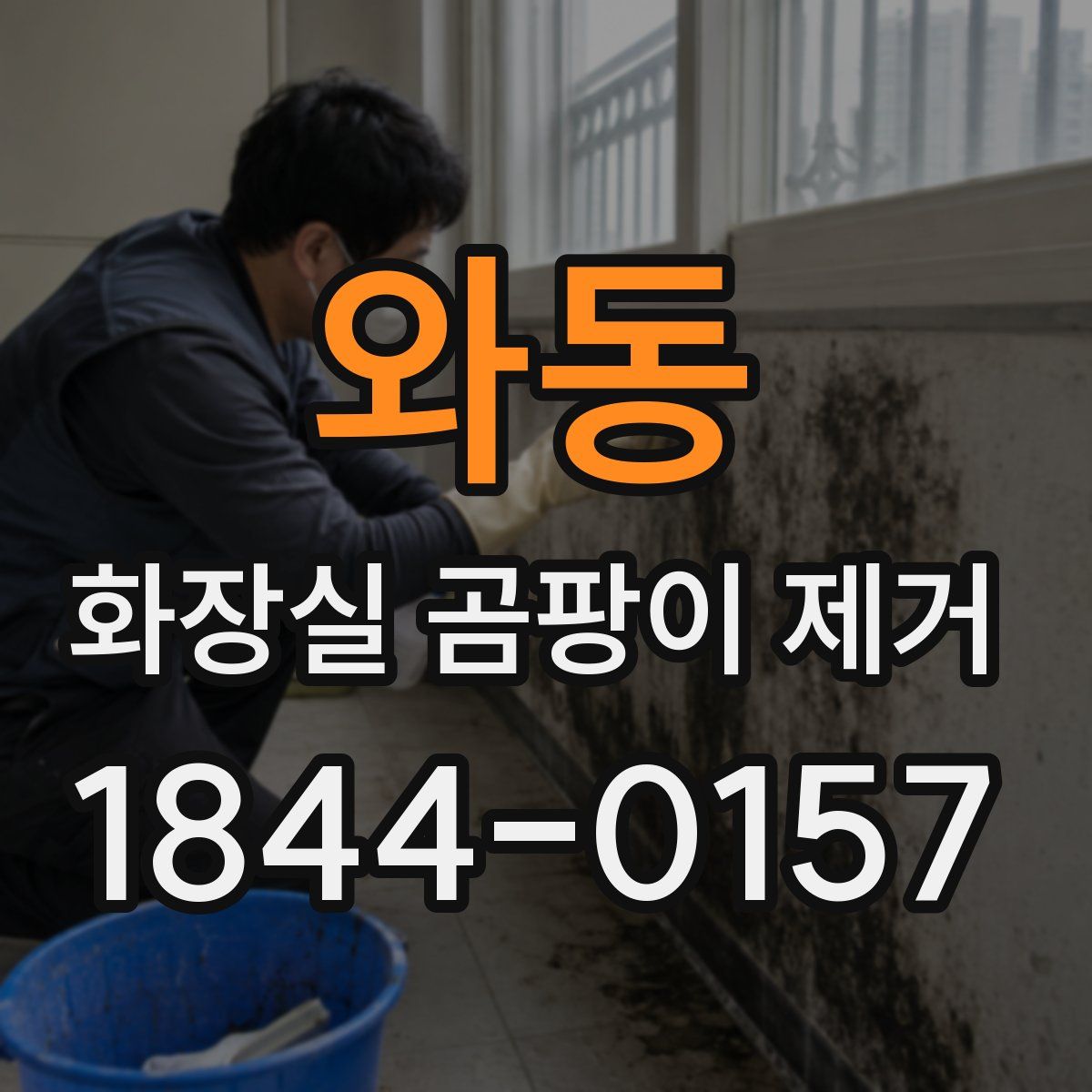 와동 화장실 곰팡이 제거