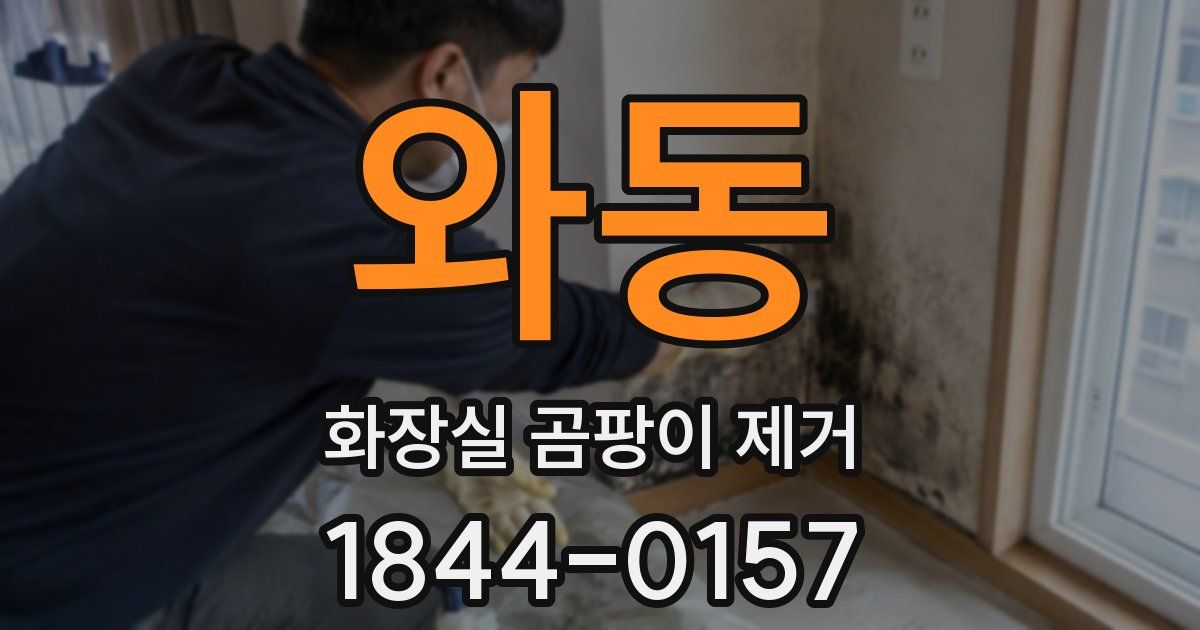 와동 화장실 곰팡이 제거