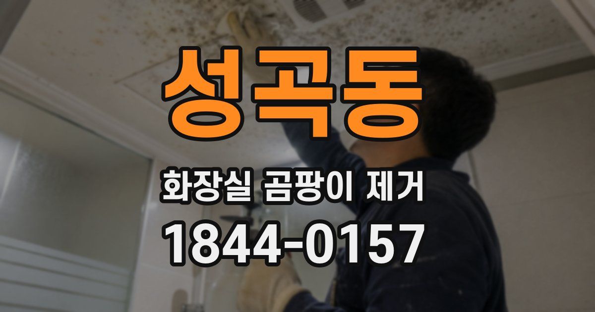 성곡동 화장실 곰팡이 제거
