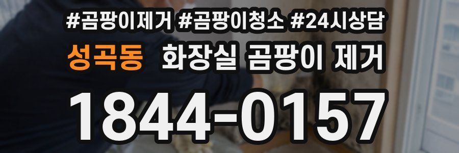 성곡동 화장실 곰팡이 제거
