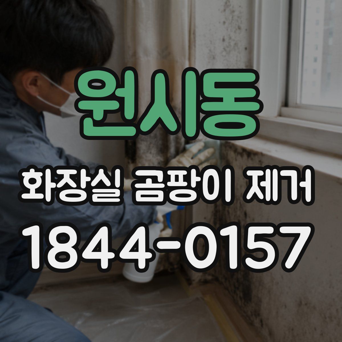 원시동 화장실 곰팡이 제거