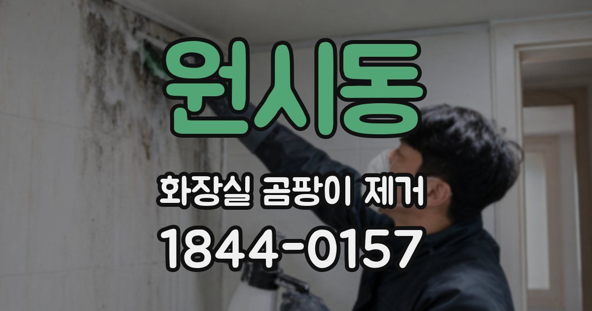원시동 화장실 곰팡이 제거