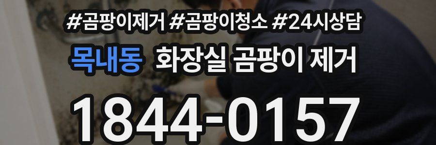 목내동 화장실 곰팡이 제거