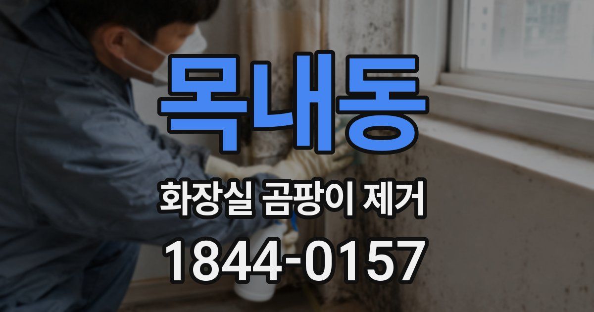 목내동 화장실 곰팡이 제거