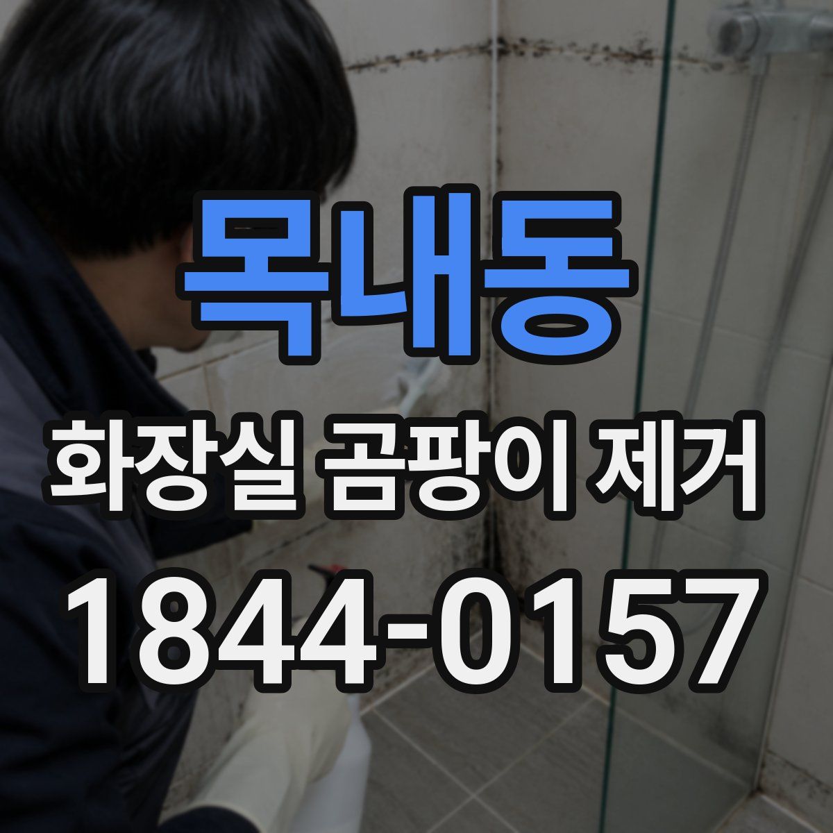 목내동 화장실 곰팡이 제거