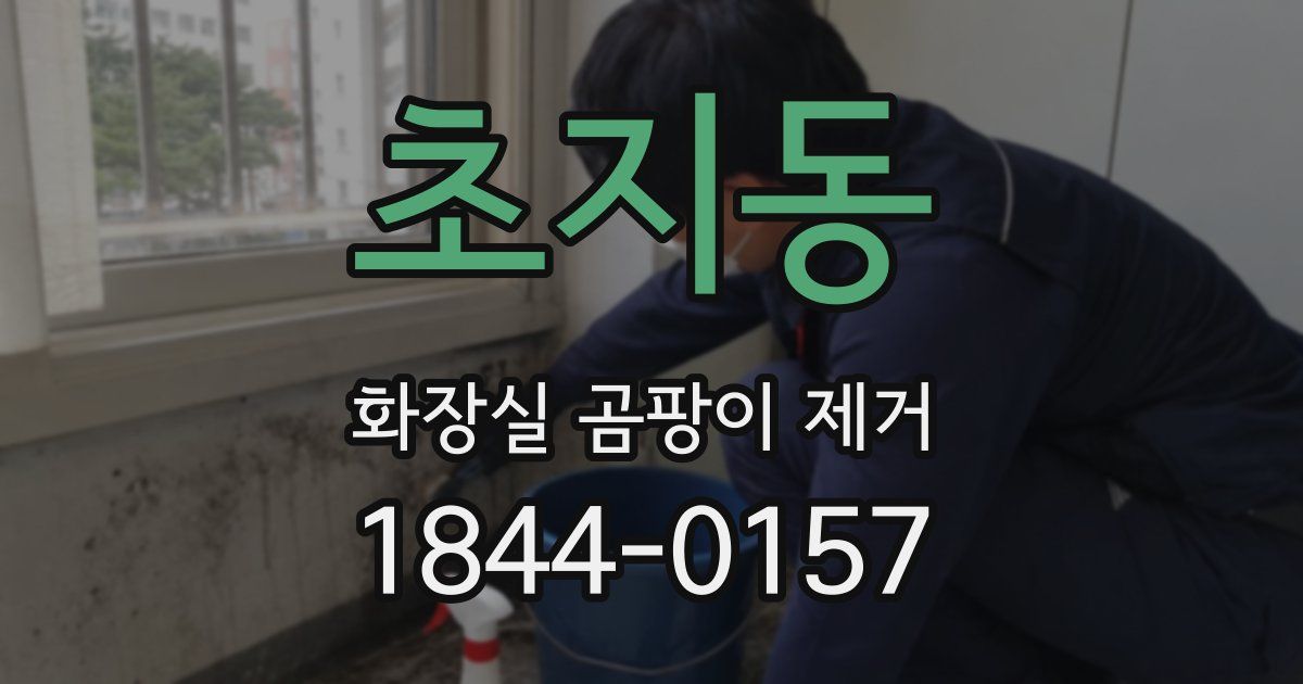 초지동 화장실 곰팡이 제거
