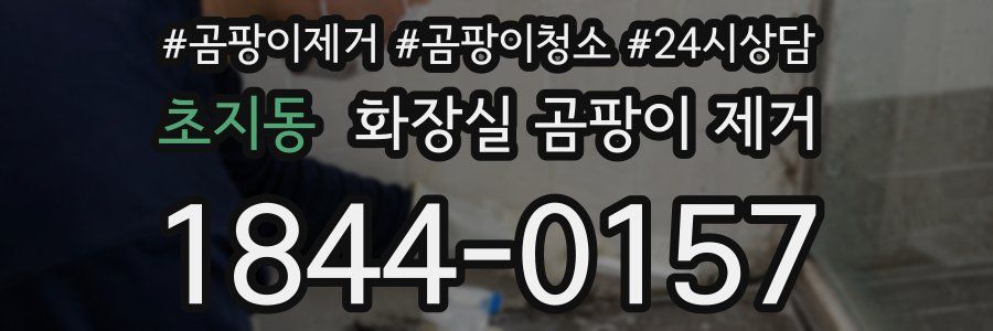 초지동 화장실 곰팡이 제거