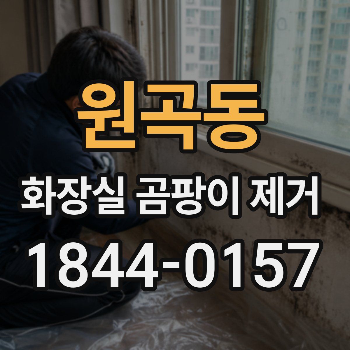원곡동 화장실 곰팡이 제거
