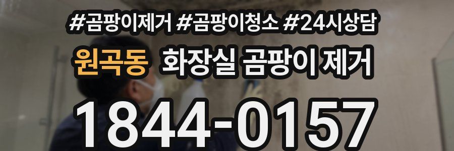 원곡동 화장실 곰팡이 제거