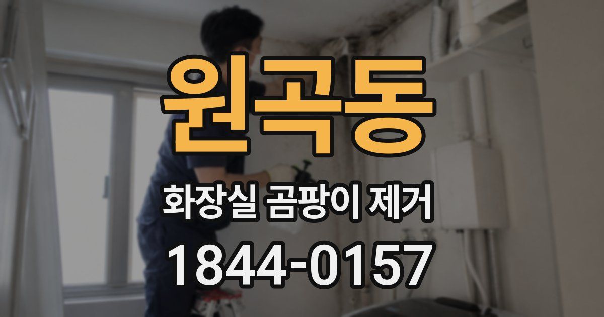 원곡동 화장실 곰팡이 제거