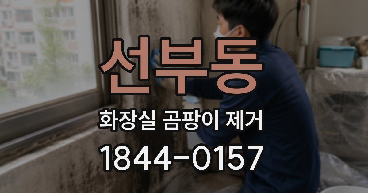 선부동 화장실 곰팡이 제거