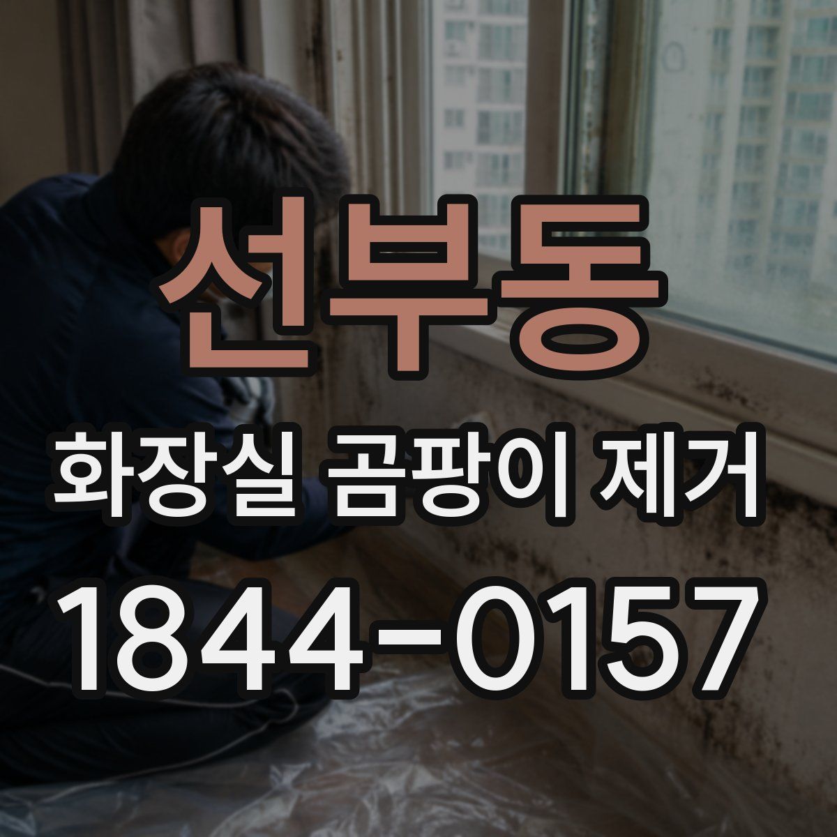 선부동 화장실 곰팡이 제거