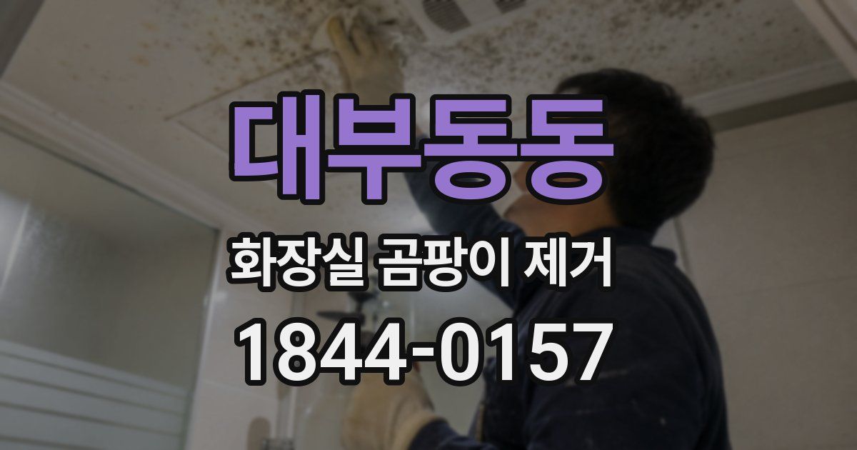 대부동동 화장실 곰팡이 제거