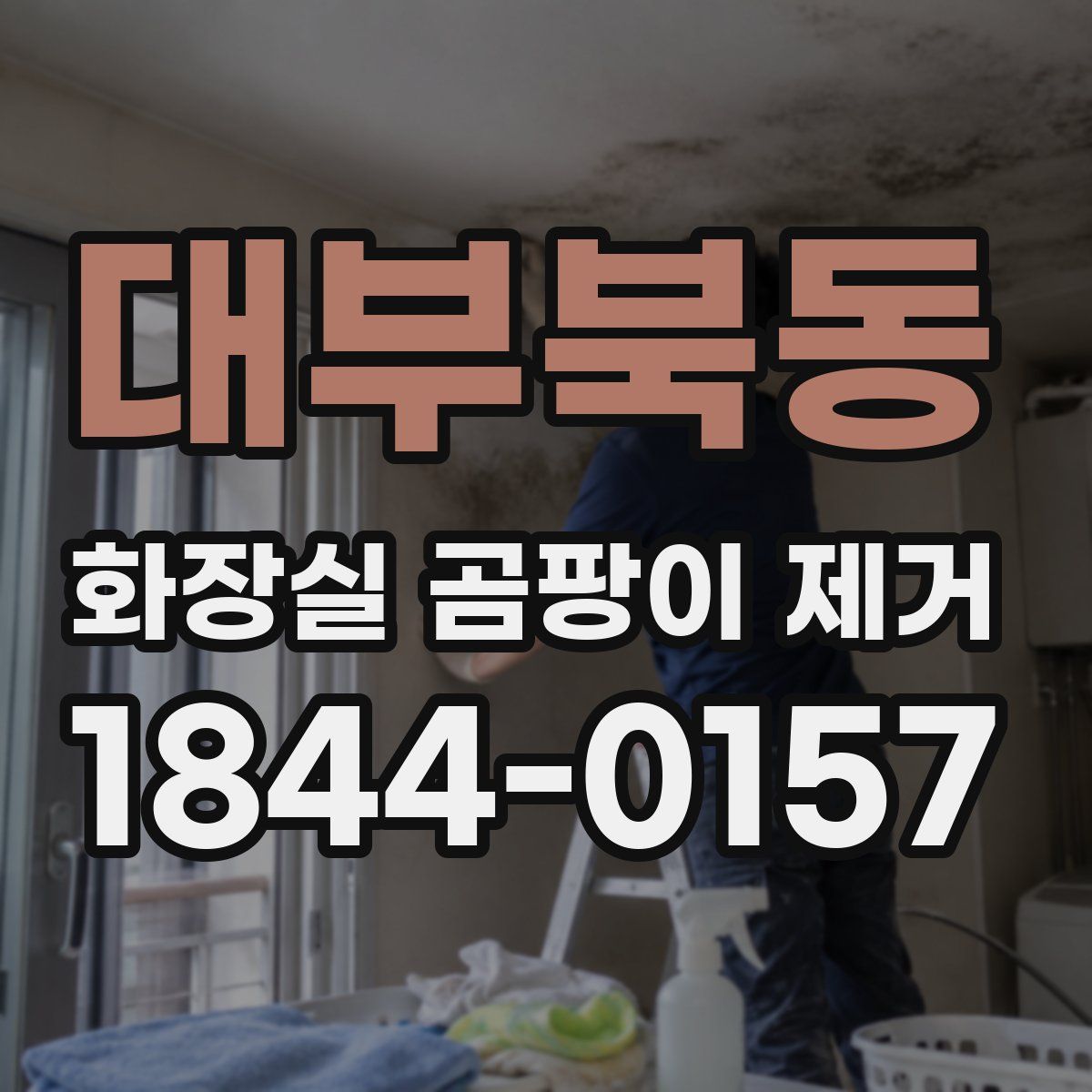 대부북동 화장실 곰팡이 제거