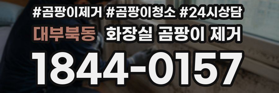대부북동 화장실 곰팡이 제거