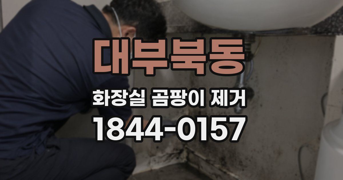 대부북동 화장실 곰팡이 제거