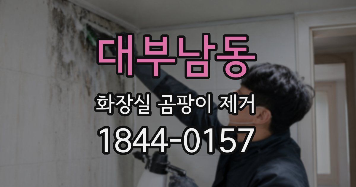 대부남동 화장실 곰팡이 제거