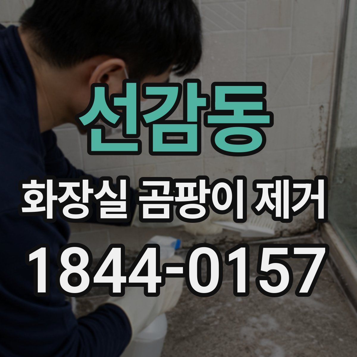 선감동 화장실 곰팡이 제거