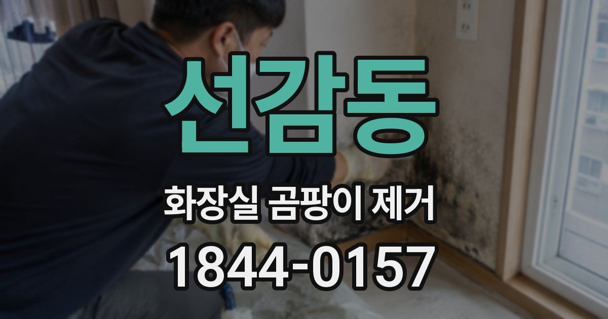 선감동 화장실 곰팡이 제거