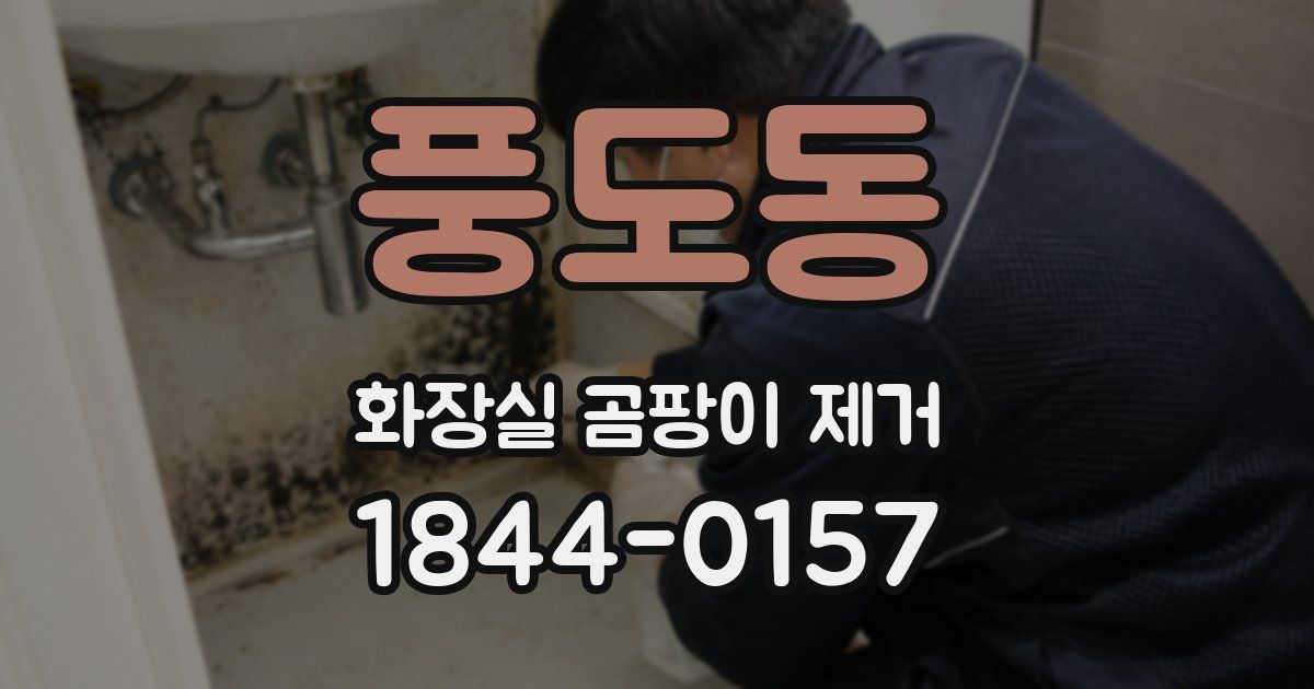 풍도동 화장실 곰팡이 제거