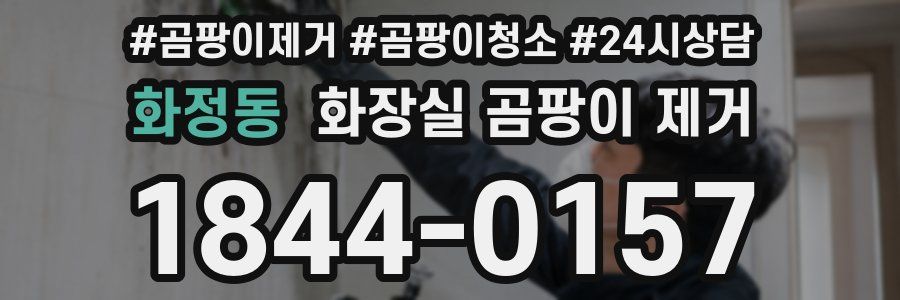 화정동 화장실 곰팡이 제거