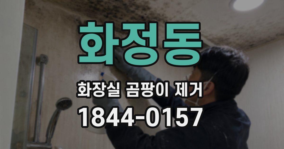 화정동 화장실 곰팡이 제거