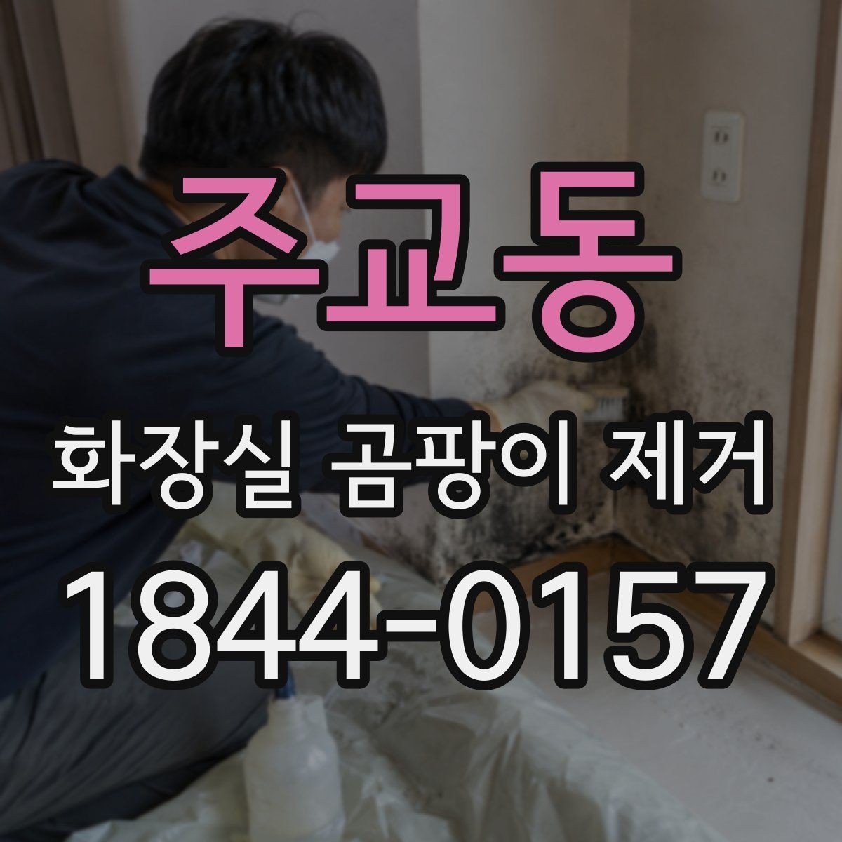 주교동 화장실 곰팡이 제거 장마철 환기 부족을 줄이는 실내 관리