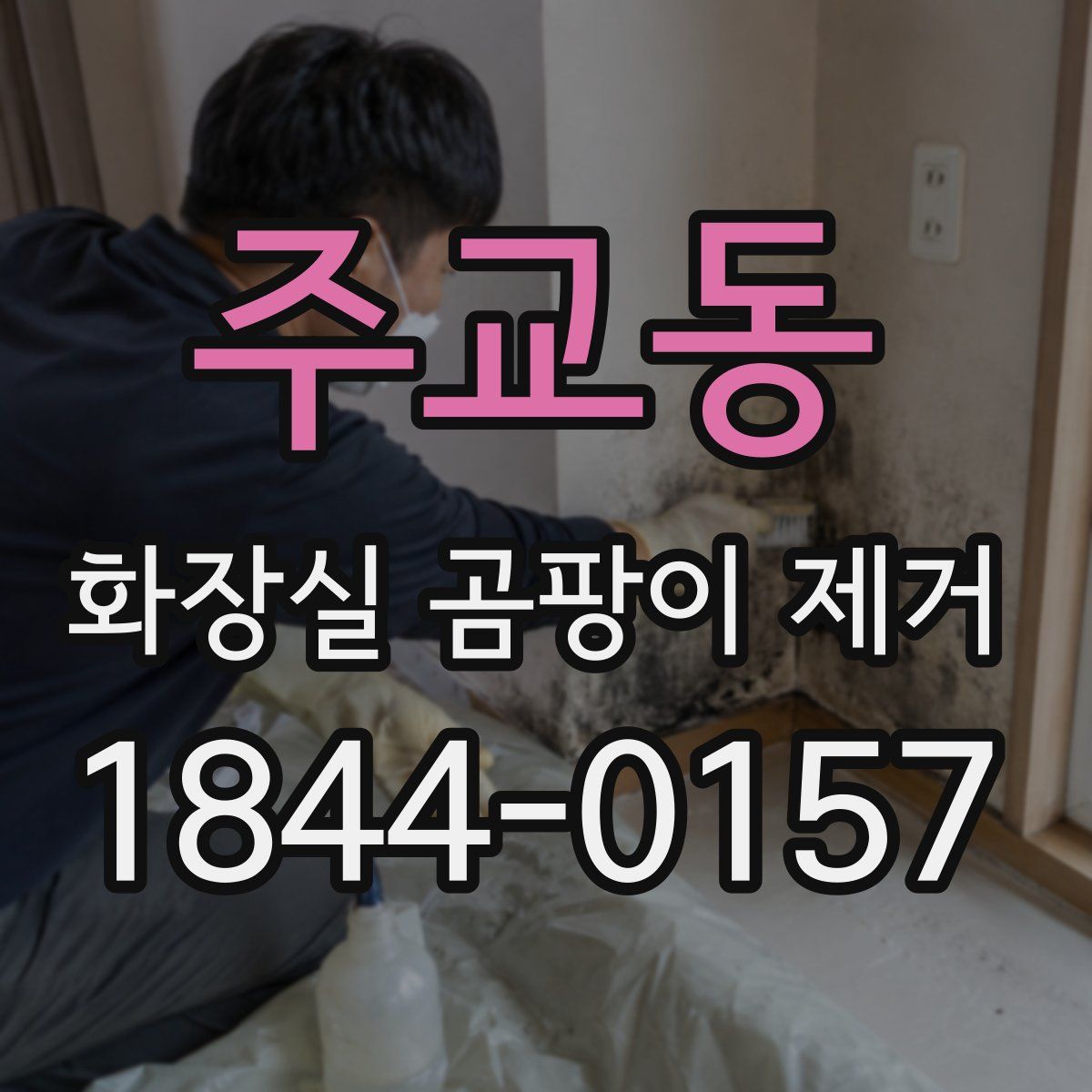 주교동 화장실 곰팡이 제거