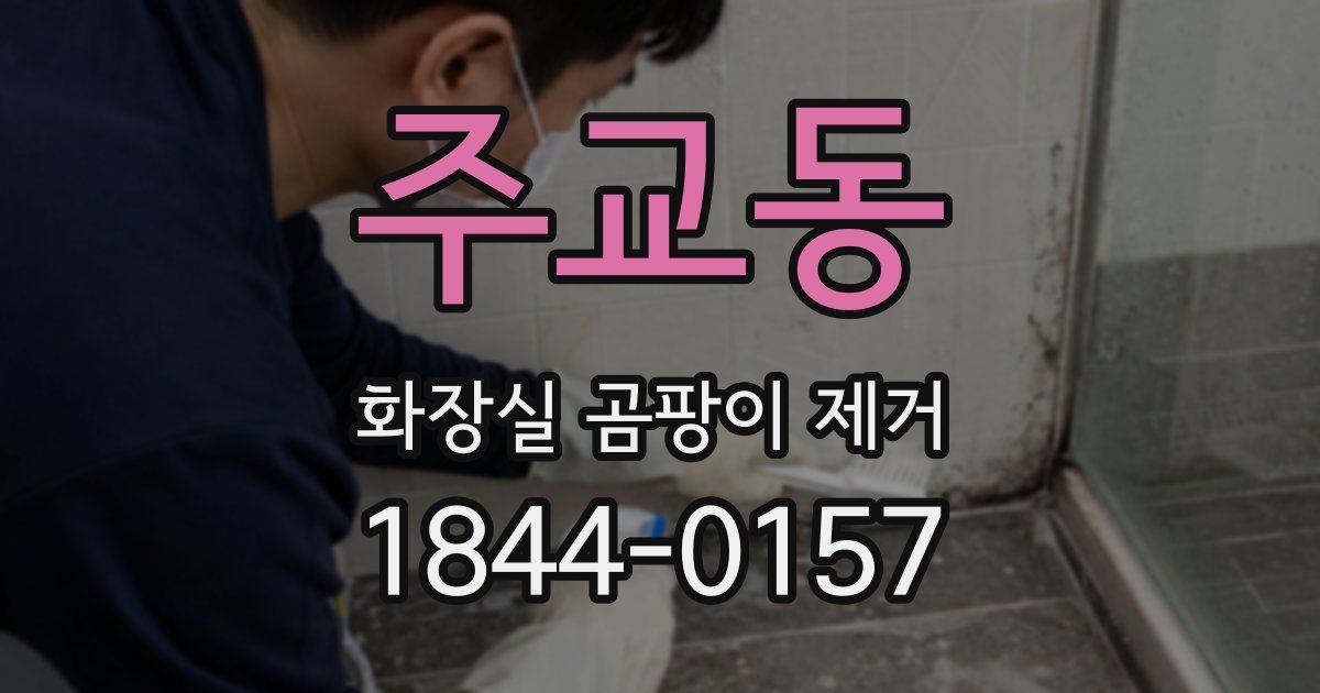 주교동 화장실 곰팡이 제거