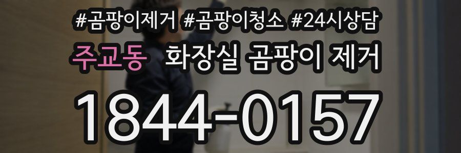 주교동 화장실 곰팡이 제거