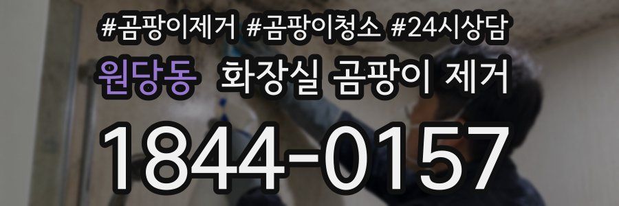 원당동 화장실 곰팡이 제거