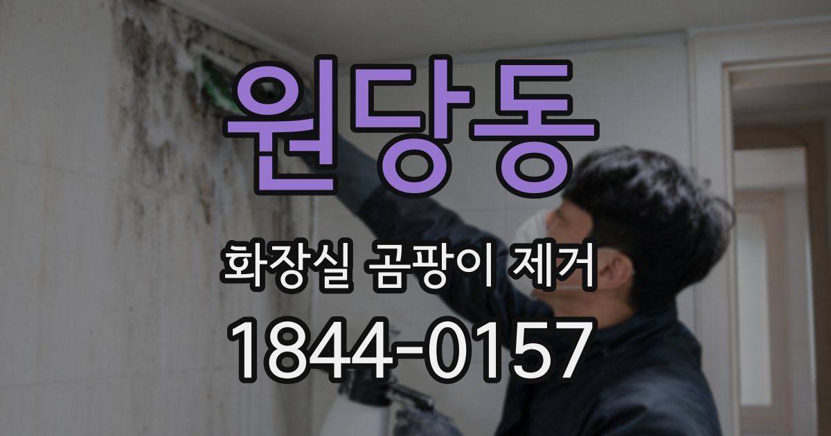 원당동 화장실 곰팡이 제거