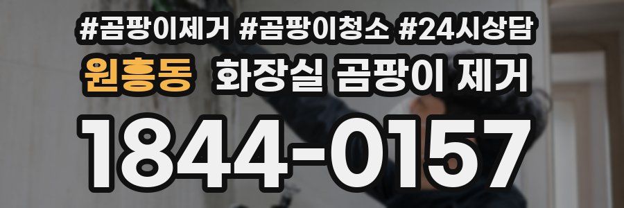 원흥동 화장실 곰팡이 제거