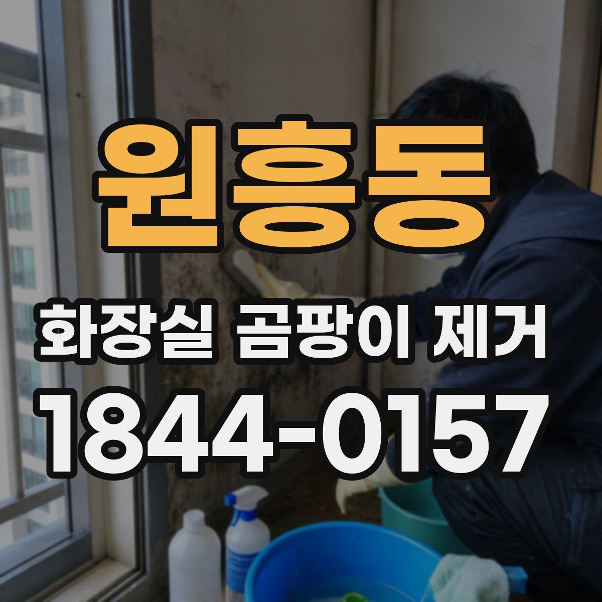 원흥동 화장실 곰팡이 제거