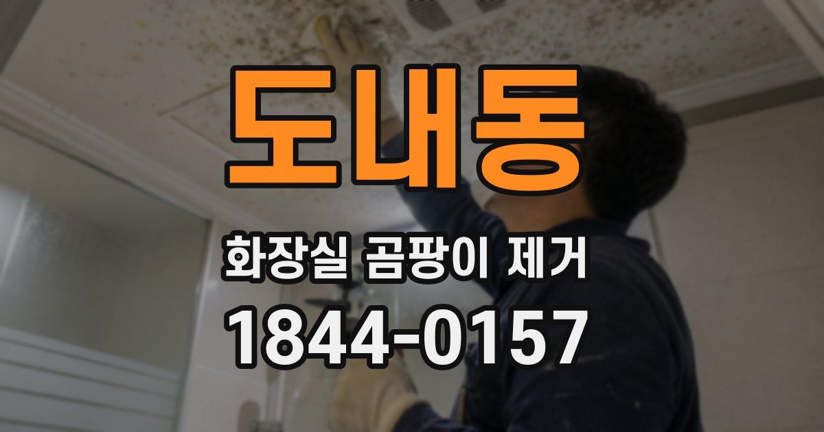 도내동 화장실 곰팡이 제거