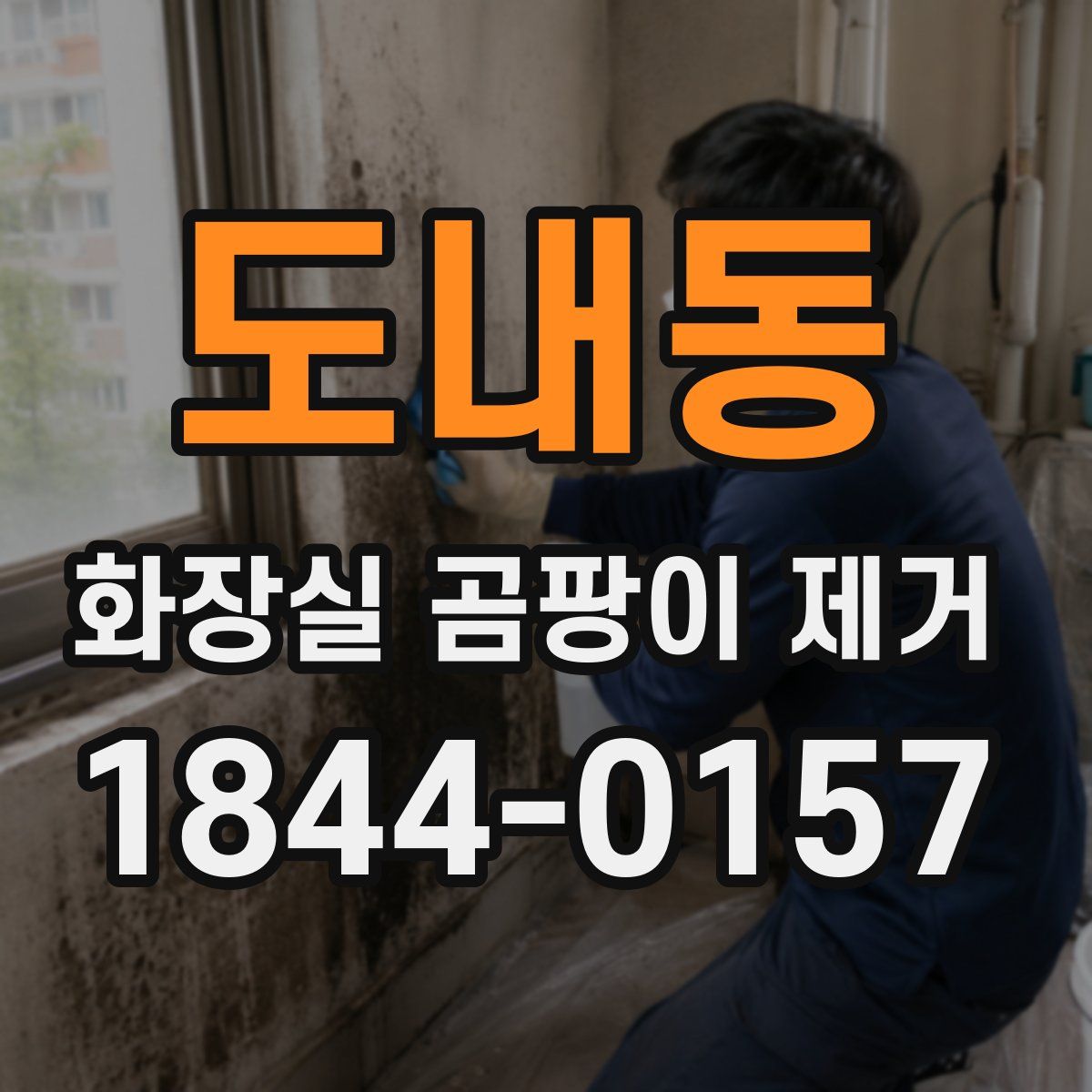 도내동 화장실 곰팡이 제거