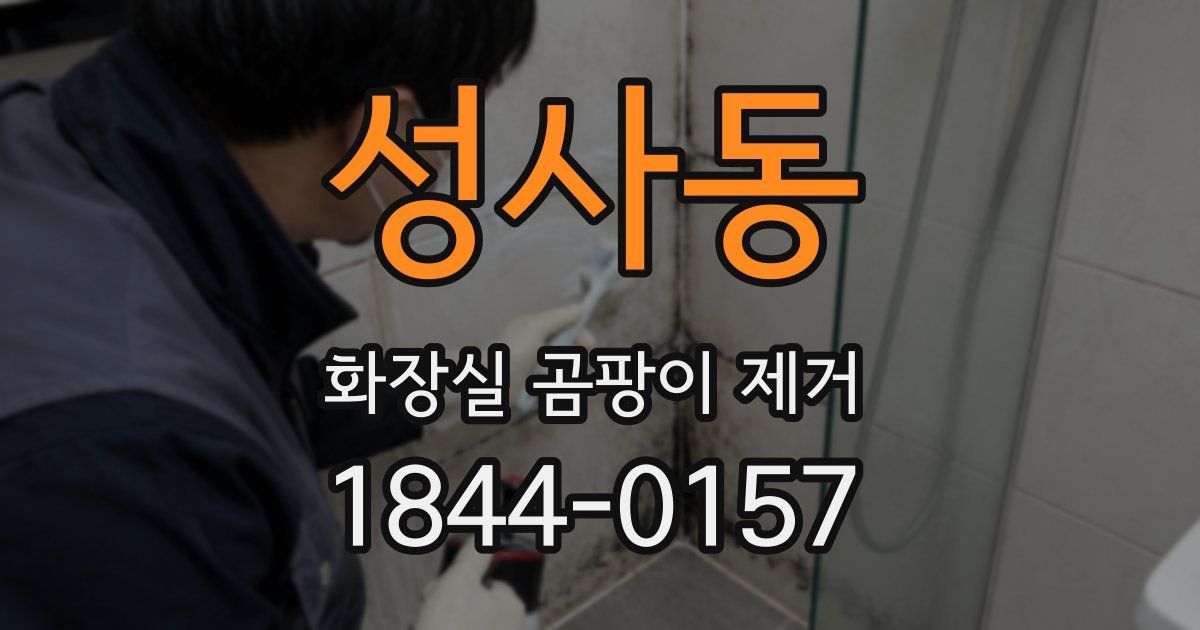 성사동 화장실 곰팡이 제거