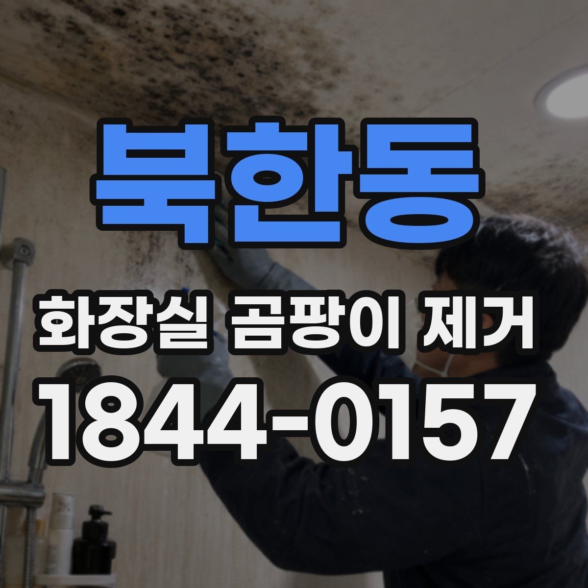북한동 화장실 곰팡이 제거 브러시와 스펀지 사용 차이 알아보기