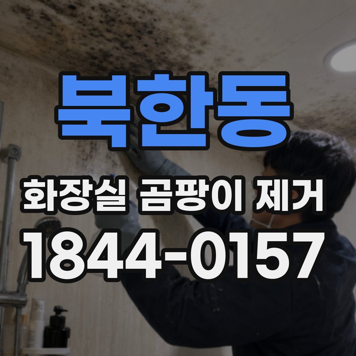북한동 화장실 곰팡이 제거
