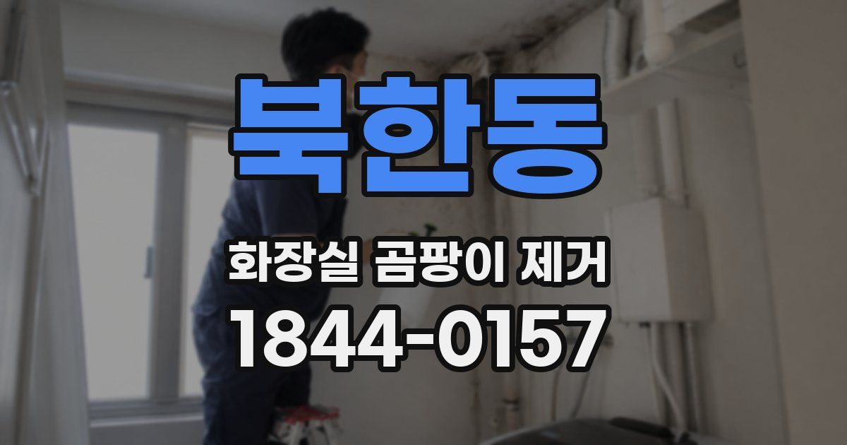 북한동 화장실 곰팡이 제거