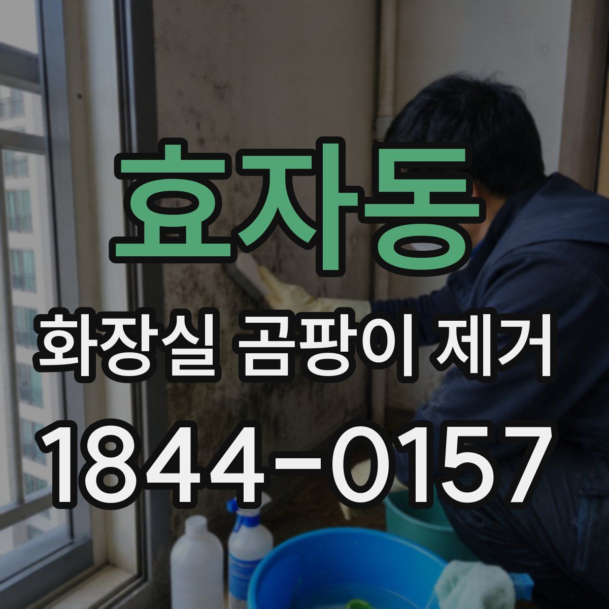 효자동 화장실 곰팡이 제거